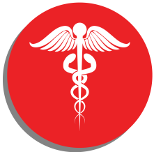 Healthcare Icon